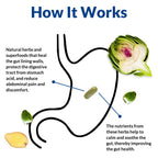 Gut Alive For Restoring Gut Lining